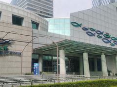 -上海海洋水族馆