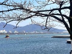 -澳门陈光记烧味饭店(南京德基广场店)