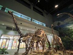 -自贡恐龙博物馆