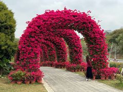 -东莞植物园