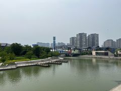-映月湖中央公园