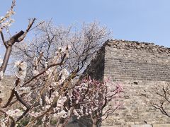 -北京明城墙遗址公园