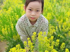 -天津武清北运河郊野公园房车露营地