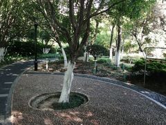 -常州古运河南大街文化旅游区-人民公园