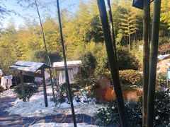 -江南天池高山汤泉城