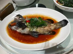 -金悦轩海鲜酒家(南宁店)