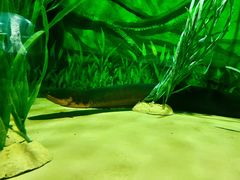 -上海海洋水族馆