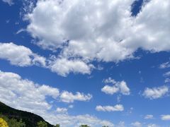 -北京西山国家森林公园