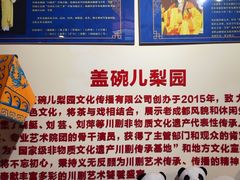 -盖碗儿梨园·变脸吐火·川剧(天府广场店)