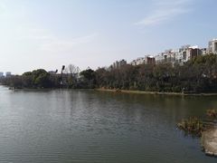 -新江湾城公园