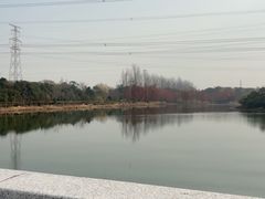 -昆山城市生态森林公园