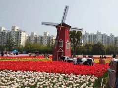 -上海鲜花港