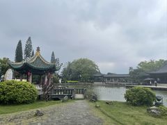 -江心屿景区