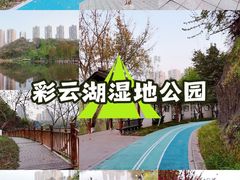 -重庆彩云湖湿地公园