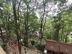 -巴倒烫陆派火锅山庄(南山总店)