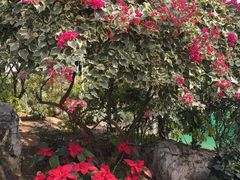 -南通洲际绿博园