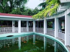 -宋庆龄幼儿园(虹梅路)