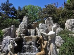 -南宫五洲植物乐园