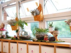 -居住主题小金星幼儿园