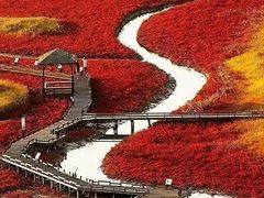 -红海滩国家风景廊道