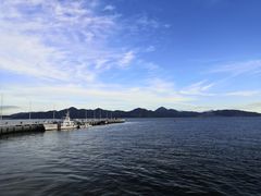 -深圳湾公园(南山区)