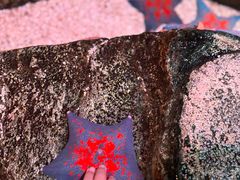 -沈阳海洋探索中心