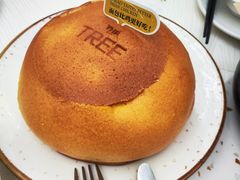-大树餐厅(环球港店)