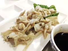 -威海渔村(静安旗舰店)
