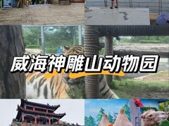 -西霞口神雕山野生动物世界