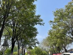 -永定河休闲森林公园