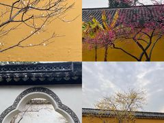 -太平天国侍王府