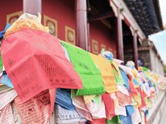 -大召无量寺