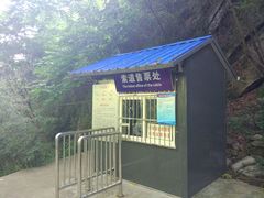 -王顺山国家森林公园