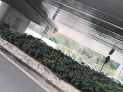 -四川大学(望江校区)