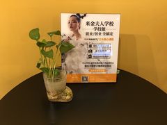 -金夫人化妆摄影职业培训学校