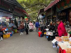 -桂林市花鸟市场