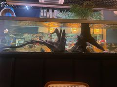 -阿泽料理