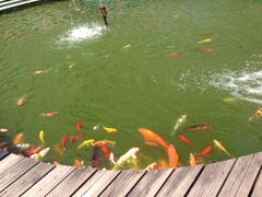 iphone_upload_pic-上海光大会展中心国际大酒店