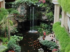 -广州白天鹅宾馆