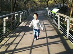 -西湖风景区-江洋畈生态公园