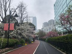 -北外滩滨江绿地