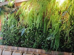 -辛香汇·现炒川菜(武进吾悦店)