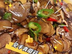 -草墩罗非鱼庄•野生菌•腊排骨(七星街上段店)