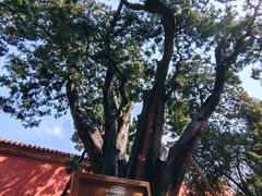 -北京市劳动人民文化宫(太庙)
