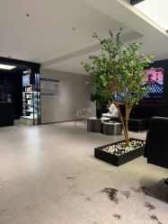 -付军剪艺JF ProSalon