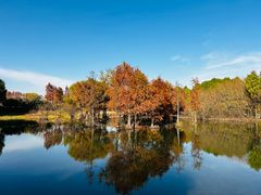 -贡湖湾湿地公园