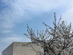 -李自健美术馆