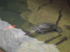 -香麒园·过桥米线·南湖雅宴