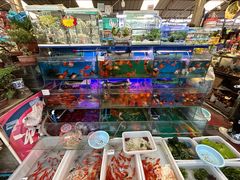 -曲阳花鸟市场(曲阳路店)
