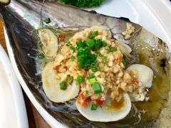 蒜蓉粉丝带子-必点海鲜·鲅鱼水饺(鞍山西道店)